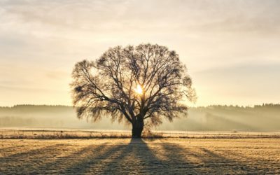Quand le silence est d’or